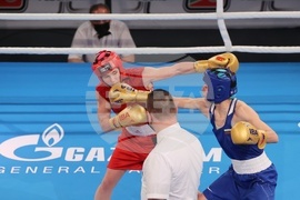 Бокс - Светлана Каменова - Дария Аврамова