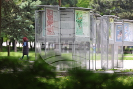 "Излез и гласувай" - изложба