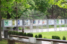 "Излез и гласувай" - изложба