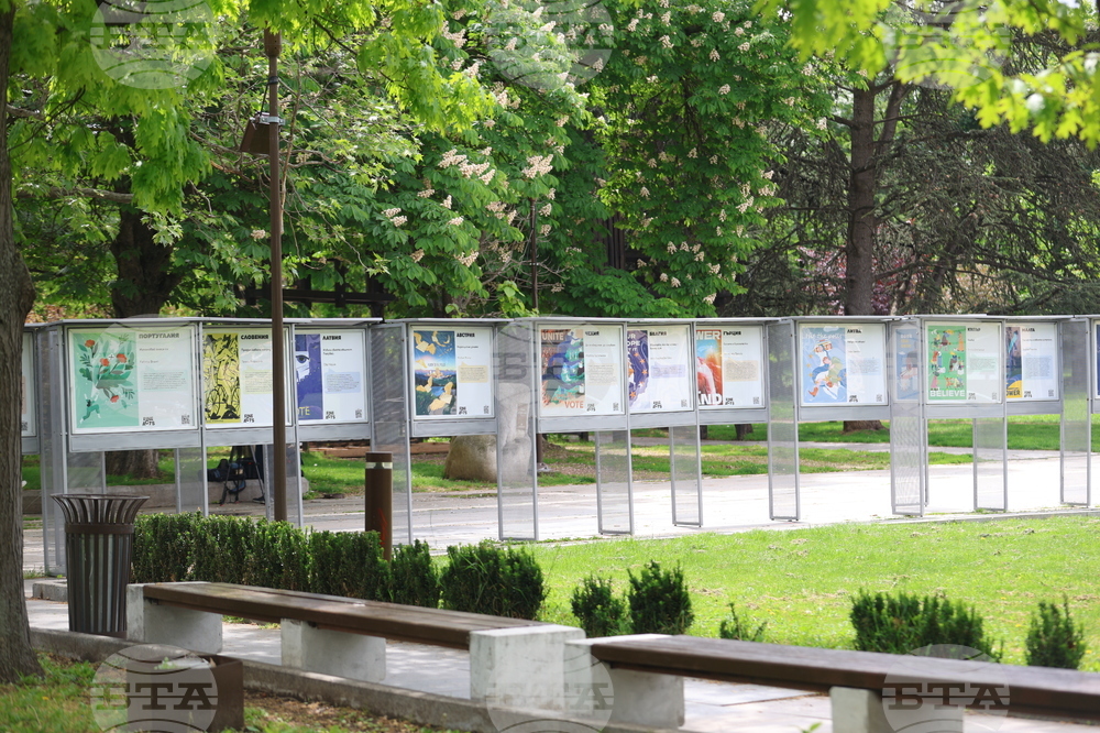 "Излез и гласувай" - изложба