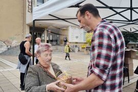 Ямбол - безплатни козунаци 