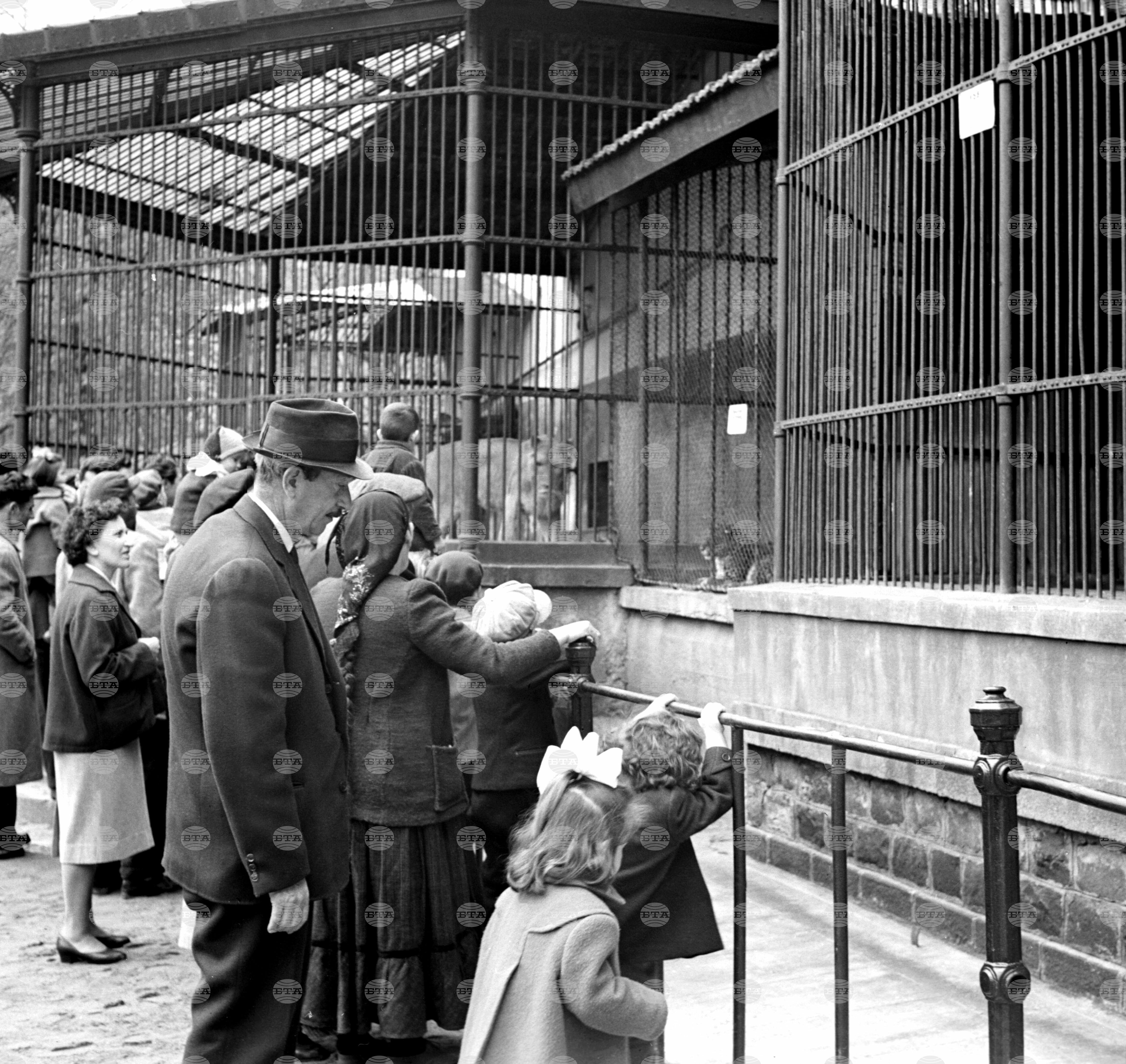 Разходка в Зоологическата градина в София през 1958 г.