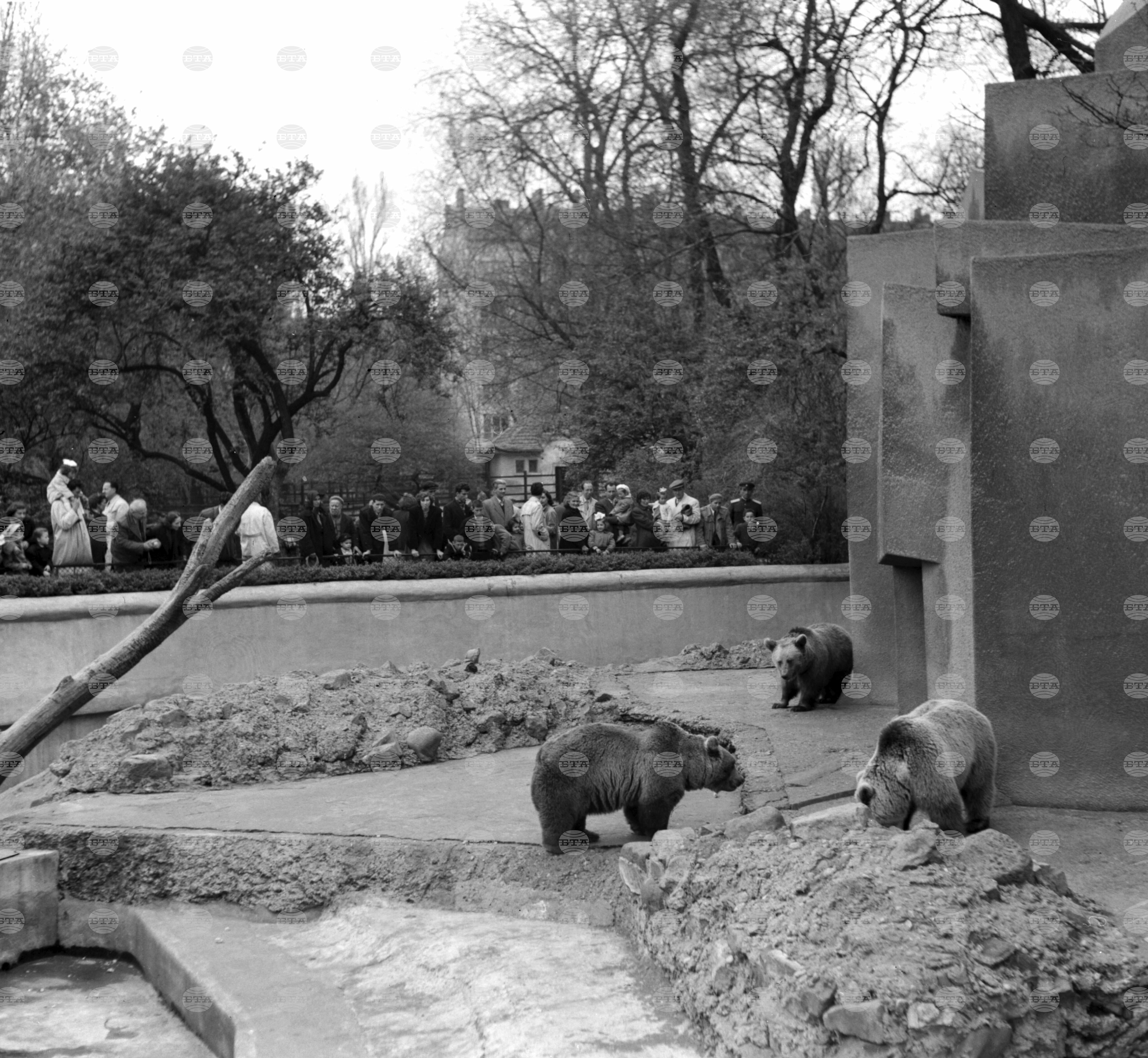 Разходка в Зоологическата градина в София през 1958 г.