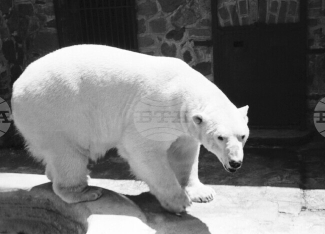 Observances: October 23