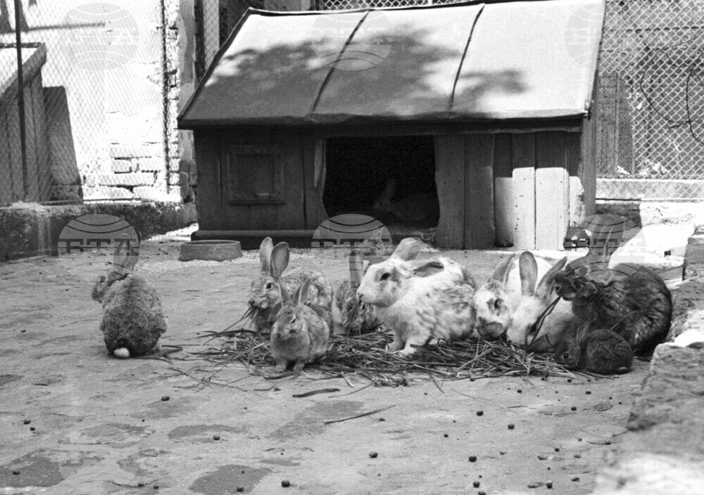 Разходка в Зоологическата градина в София през 1958 г.