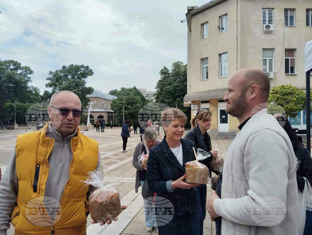 Ямбол - безплатни козунаци
