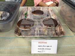 Кметът Илко Стоянов, посланик Н. Пр. Херо Мустафа и д-р Дейвид Еванс поставиха началото на Първи Американски музикален фестивал в Благоевград