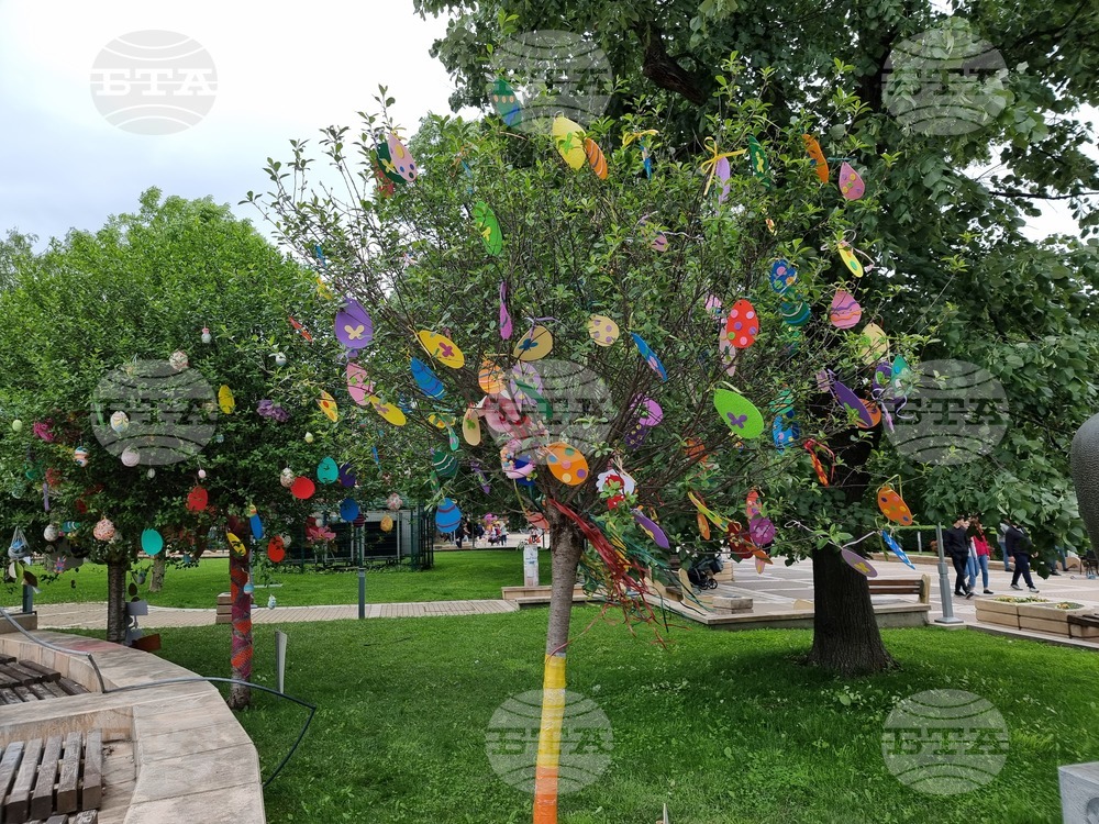 Ямбол - яйца - боядисване - великденска украса