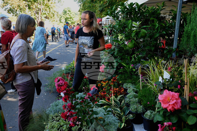 Съюзът на ландшафтните архитекти в България ще се представи за пръв път с експозиция на националната изложба на цветя "Флора Бургас"