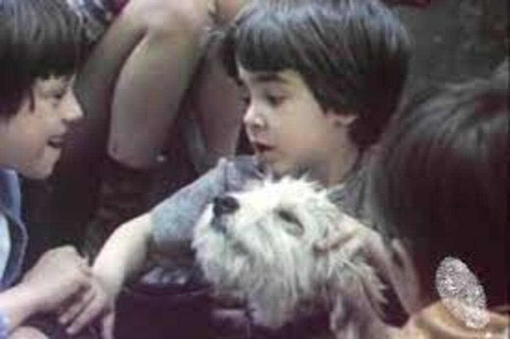 Bulgarian Classic A Dog in a Drawer to Be Screened at Summer Cinema on Sunday