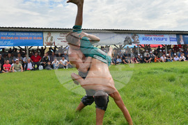 Село Черна - мазни борби