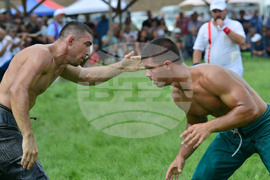 Село Черна - мазни борби