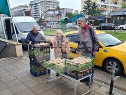 Снимка: БСП