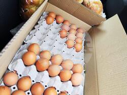 Снимка: БСП