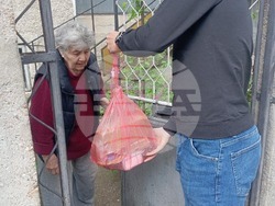 Снимка: БСП