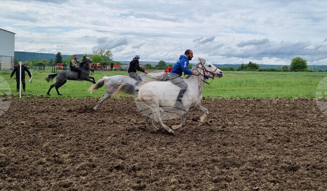 Село Светлен - конни надбягвания