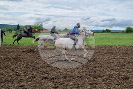 Село Светлен - конни надбягвания