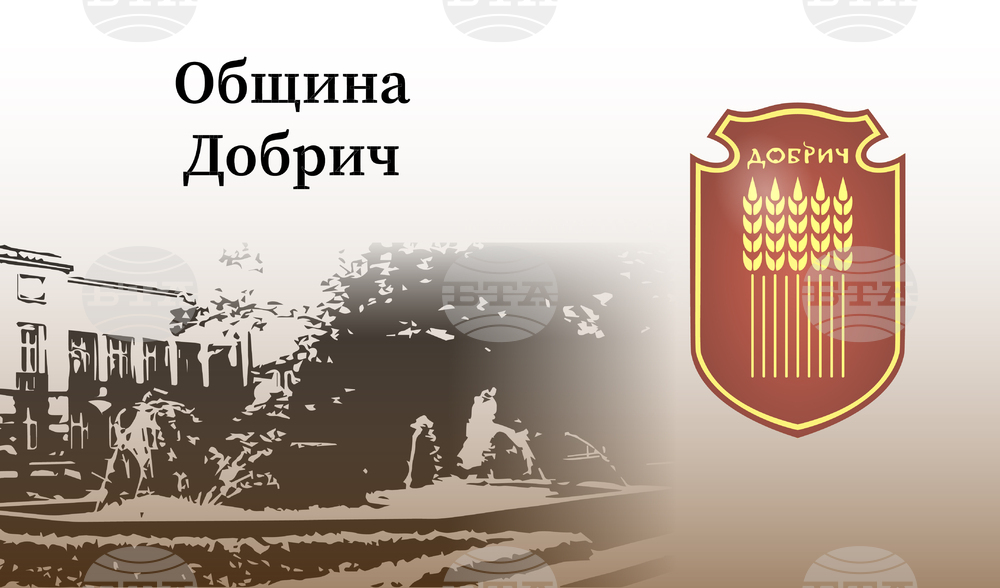 Община Добрич: Културен афиш за периода 10 февруари – 16 февруари 2025 година
