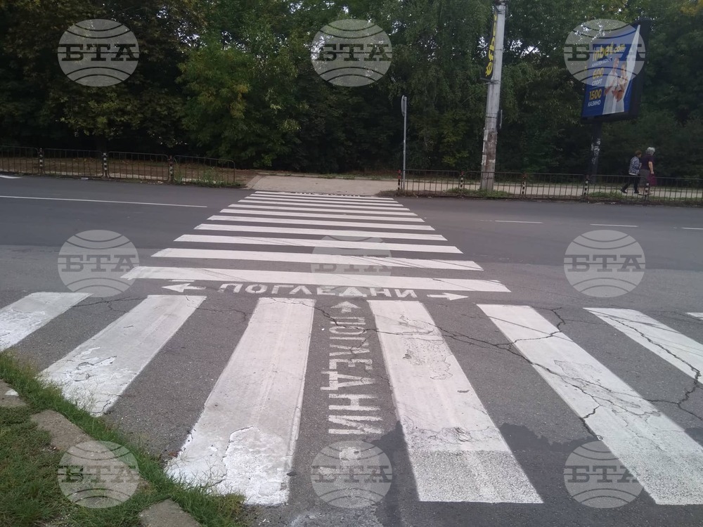 Обновени са 316 пешеходни пътеки в Плевен