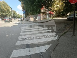 Община Плевен - Обновени са 316 пешеходни пътеки в Плевен