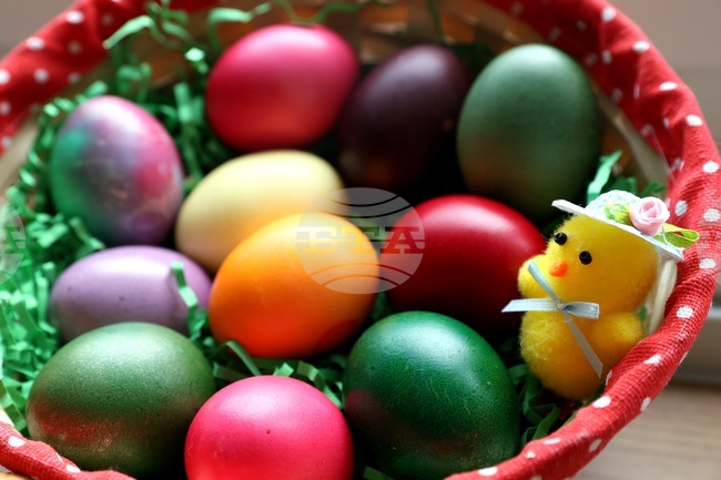 Food for Easter: How Much Costlier than Last Year?