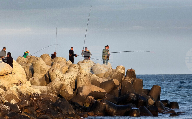 Забраната за улов на риба и други водни организми през размножителния им период влиза в сила от 15 април