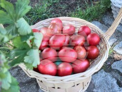 Снимка: Община Банско