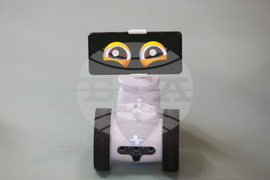 Асен Меджидиев - Сашо Пенов - пилотен проект