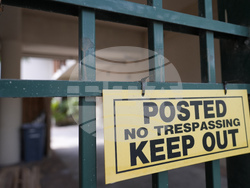 AI-Campaigns-Trump-Parscale Election 2024