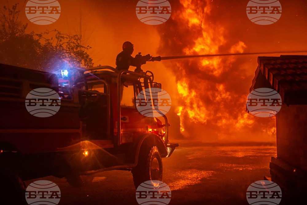 Седем деца загинаха заедно с майка си при пожар във френско градче, съобщиха властите