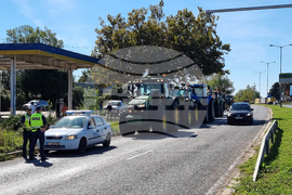 Русе - зърнопроизводители - протест