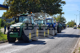 Русе - зърнопроизводители - протест