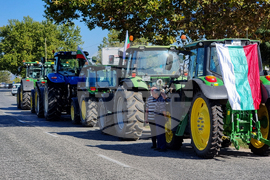 Русе - зърнопроизводители - протест