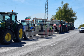 Русе - зърнопроизводители - протест