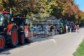 Видин - протест - зърнопроизводители