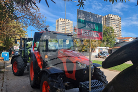 Видин - протест - зърнопроизводители