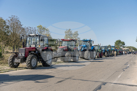 Добрич - зърнопроизводители - протест – Снимка: Александра Антонова
