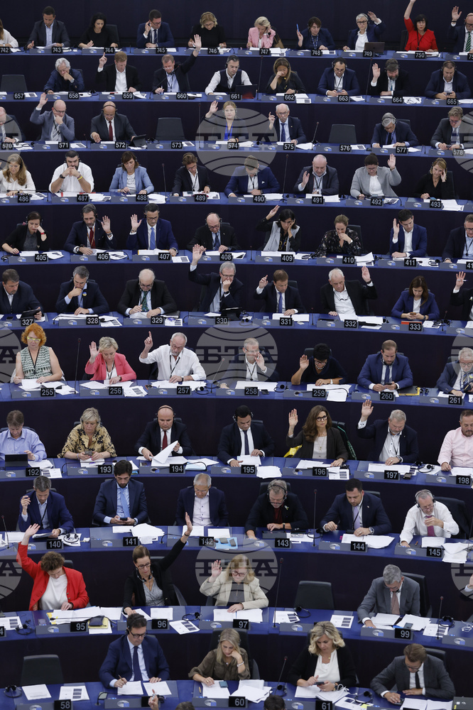 Three Socialist MEPs Issue Joint Declaration on Bulgaria's, Romania's Schengen Entry