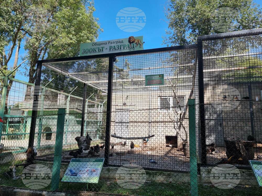 Разградският зоокът стана дом за нови обитатели
