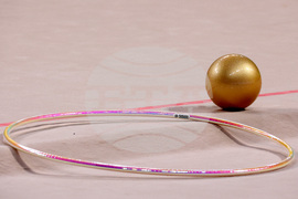 39-то Световно първенство по художествена гимнастика