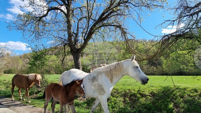 BTA :: Over 2,000 Vehicles Checked at Bulgarian-Turkish Border in Joint
