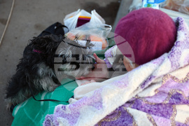 Молдова - ГКПП Паланка