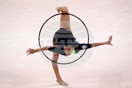 Световно първенство по художествена гимнастика - финал