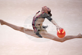 Световно първенство по художествена гимнастика - финал