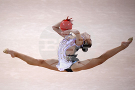 Световно първенство по художествена гимнастика - финал