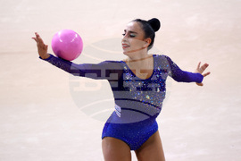 Световно първенство по художествена гимнастика - финал