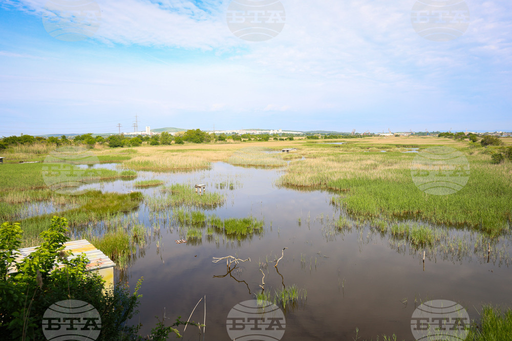 Европейското законодателство ни помага да постигнем чиста природа и ресурси, каза за БТА Ирина Матеева от Дружеството за защита на птиците