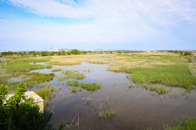 EU Law Helps Protect Water and Biodiversity, Says Bulgarian Expert