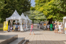 Габрово - Алея на книгата