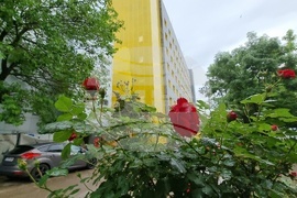 Румъния - детска онкологична болница